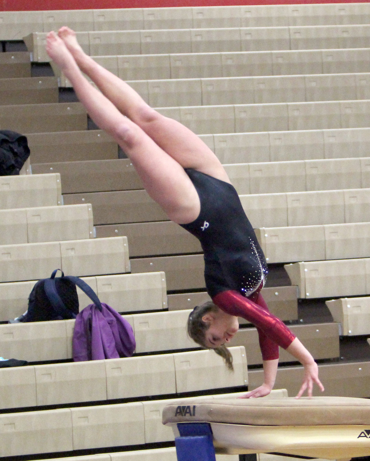 Chi-Hi Gymnastics Triangular 1-17-19